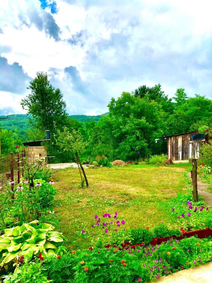 Guesthouse D&D Licko Petrovo Selo Exteriör bild